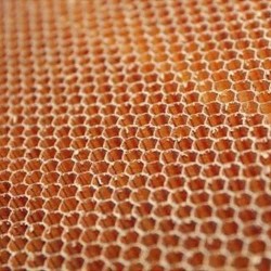 Nomex Honeycomb T:3mm C:3,2mm-29kg/m3 115cmx250cm - 